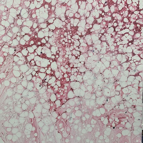 Kylie  Rate| Bubbles  2   pink | McAtamney Gallery and Design Store | Geraldine NZ
